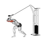Extension triceps poulie haute