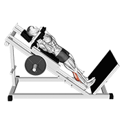 Mollets machine hack squat