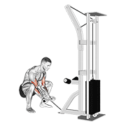 Curl poulie en squat