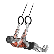 Rowing suspendu