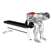 Kickback triceps assis