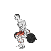 Hack Squat barre dans le dos