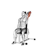 Extension Triceps Haltère Assis à un bras