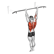 Traction archer