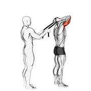 Extension triceps serviette