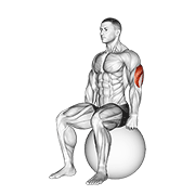 Étirement triceps ballon