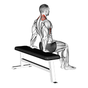 Dips scapulaires