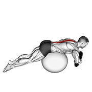 Hyperextension Ballon Lestée