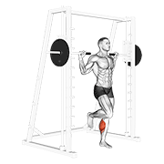 Mollets Smith Machine