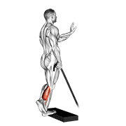 Mollet élastique une jambe