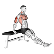 Dips sur banc