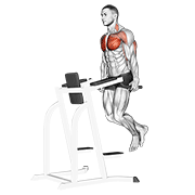 Dips pectoraux