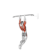 Muscle-up