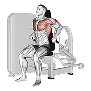 Dips Machine Assis