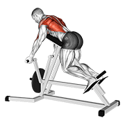Rowing T-bar inversé