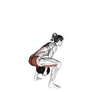 Pull Through Sumo haltère