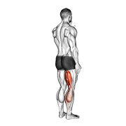 Leg Curl debout