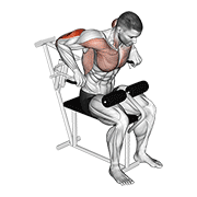 Dips machine