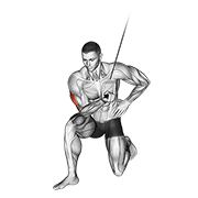 Extension triceps poulie à genoux