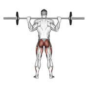 Squat complet barre