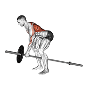 Rowing machine un bras