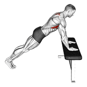 Pompe scapulaire inclinée