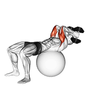 Extension triceps sur ballon