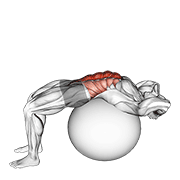 Crunch sur ballon
