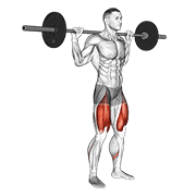Squat barre haute