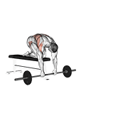 Rollout barre sur banc