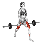 Split Squat barre