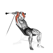 Extension triceps poulie incliné