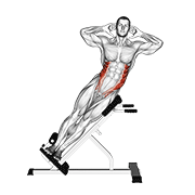 Flexion latérale banc 45°