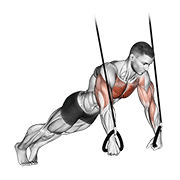 Pompes suspendues
