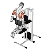 Dips triceps assisté