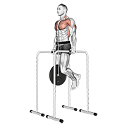 Dips triceps lestés