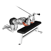 Extension triceps poulie genoux