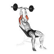 Extension triceps incliné barre EZ