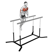 Dips barre droite