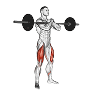 Squat Zercher Sumo