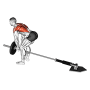 Rowing machine prise V