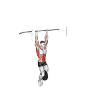 Muscle up lesté
