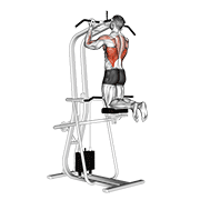 Traction Assistée Supination