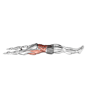 Sit-up bras tendus