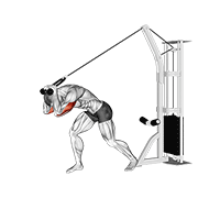 Extension triceps nuque corde