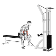 Curl biceps concentration poulie