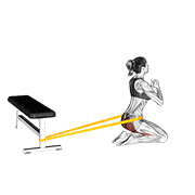 Hip Thrust genoux élastique