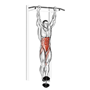 Relevé de jambes suspendu lesté
