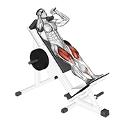 Hack Squat