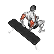Dips sur banc par terre